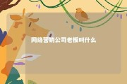 网络营销公司老板叫什么 