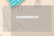 王饱饱网络营销分析 