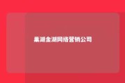 巢湖金湖网络营销公司 