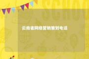 云南省网络营销策划电话 