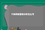 个体网络营销分析怎么写 