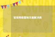 宝安网络营销方案解决商 