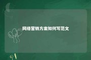 网络营销方案如何写范文 