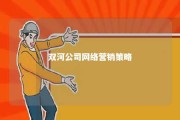 双河公司网络营销策略 