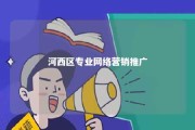 河西区专业网络营销推广 