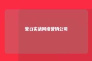 营口实战网络营销公司 