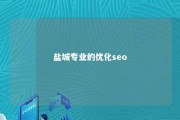 盐城专业的优化seo 