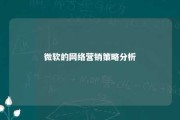 微软的网络营销策略分析 