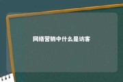 网络营销中什么是访客 