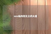 seo站内优化立的火星 