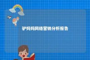 驴妈妈网络营销分析报告 