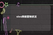 vivo网络营销状况 