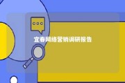 宜春网络营销调研报告 