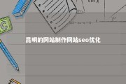 昆明的网站制作网站seo优化 