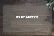 修文县汽车网络营销 