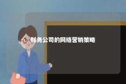 财务公司的网络营销策略 