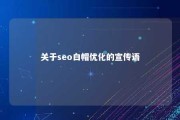 关于seo白帽优化的宣传语 