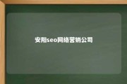 安阳seo网络营销公司 