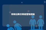 特斯拉降价网络营销措施 