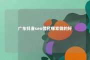 广东抖音seo优化哪家做的好 