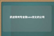 武进常州专业做seo优化的公司 