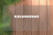 鹰潭抖音网络营销案例 