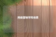 网络营销学院收费 