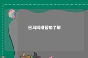 巴马网络营销了解 