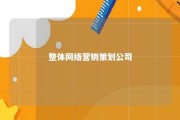 整体网络营销策划公司 