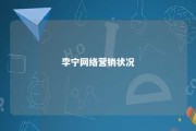 李宁网络营销状况 