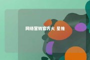 网络营销官方火 星推 