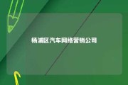 杨浦区汽车网络营销公司 