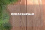 芦淞区传统网络营销介绍 