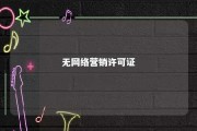 无网络营销许可证 