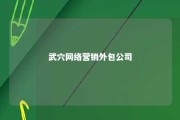 武穴网络营销外包公司 