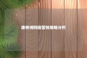 康师傅网络营销策略分析 