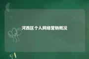 河西区个人网络营销概况 