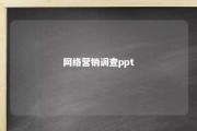 网络营销调查ppt 