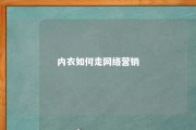 内衣如何走网络营销 