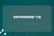 张同学网络营销推广方案 