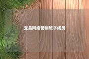 宜昌网络营销班子成员 