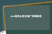 seo是怎么优化推广的蜘蛛池 