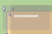 湘潭传统网络营销案例 