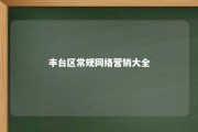 丰台区常规网络营销大全 