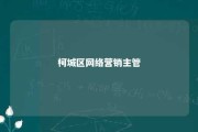 柯城区网络营销主管 