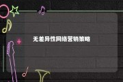 无差异性网络营销策略 