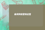 曲周网络营销运营 