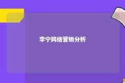 李宁网络营销分析 