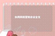 协同网络营销会议全文 