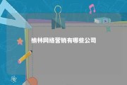 榆林网络营销有哪些公司 